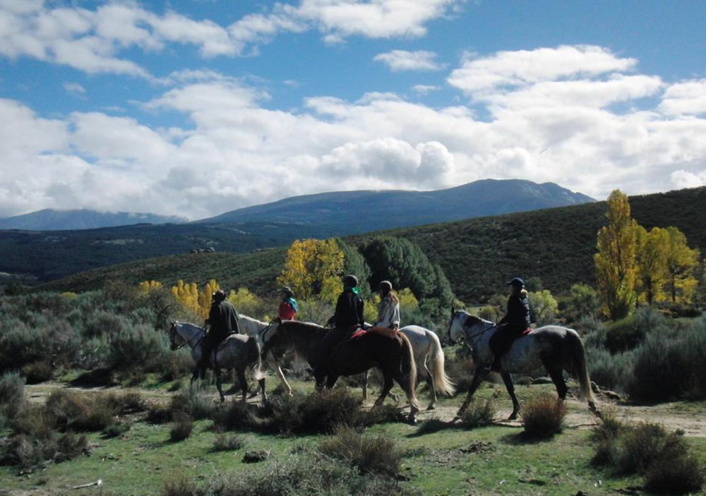 La Casona De Collado Guest House Hoyos del Collado Екстериор снимка